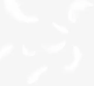 白色半透明动物羽毛轻轻掉下免抠