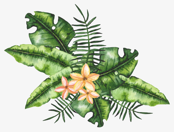 手绘大绿叶和鲜花png免抠