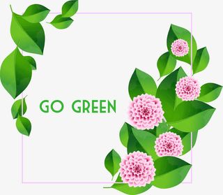 唯美彩色花朵植物设计矢量素材免抠