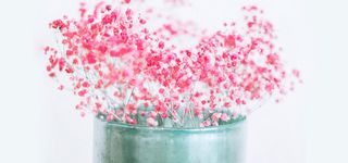 日系清新文艺淡色花朵背景高清