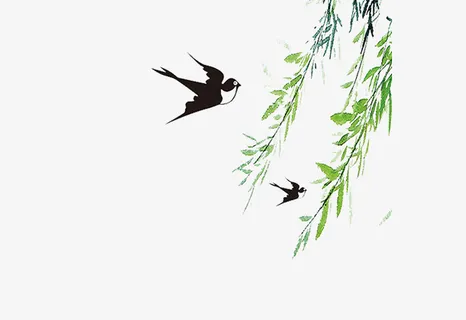 手绘彩色柳条素材免抠 手绘彩色柳条素材免抠