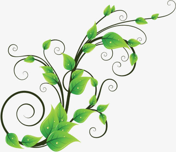 春天手绘绿叶上的水滴免抠