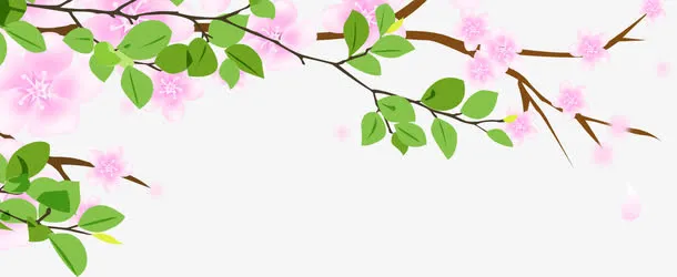 春天手绘粉色树枝免抠