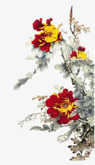 中国风牡丹花免抠