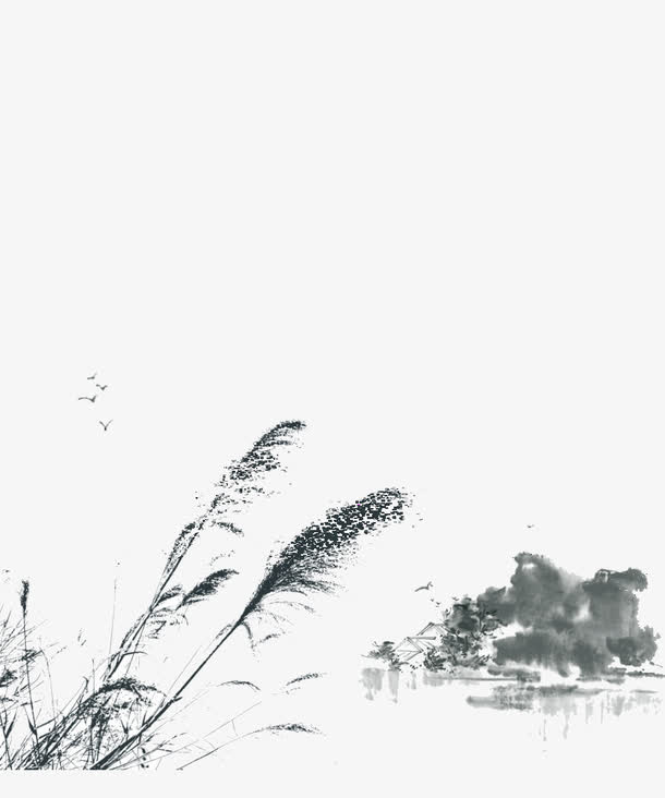 芦苇免抠