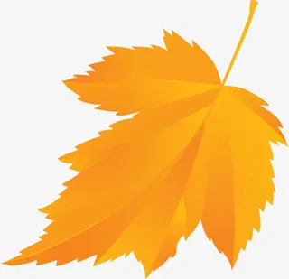 手绘叶子免抠