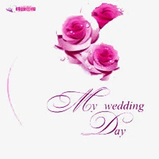 情人节素材免抠