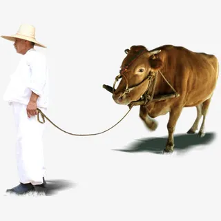 放牛的农民伯伯免抠