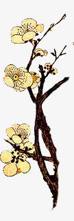 手绘梅花 png免扣素材免抠