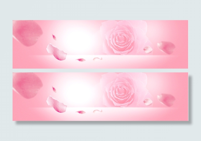 粉色玫瑰花开浪漫海报背景高清