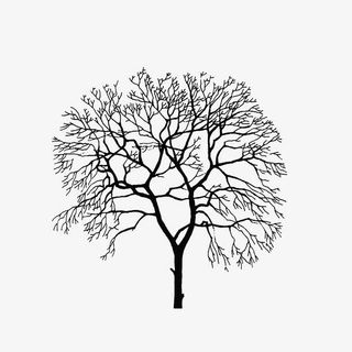 手绘立面干枯树免抠
