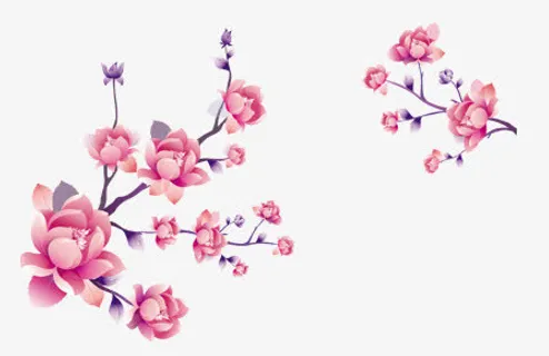 粉色的花朵对称开放免抠