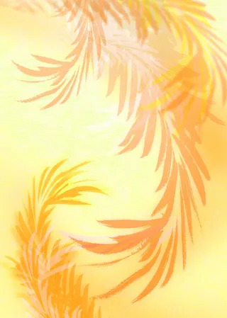 漂亮纹理底图高清免抠