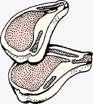 卡通牛排素材免抠