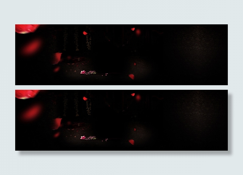 黑暗玫瑰另类背景高清