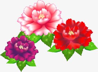 手绘花开牡丹图案免抠