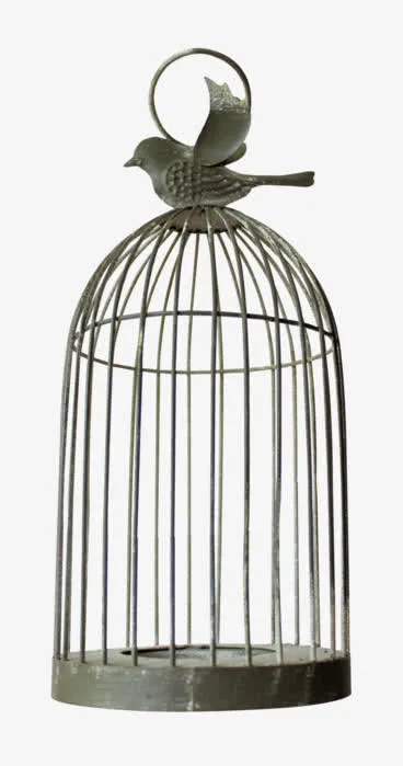 鸟笼免抠