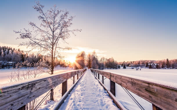 冬日小路树木雪花免抠