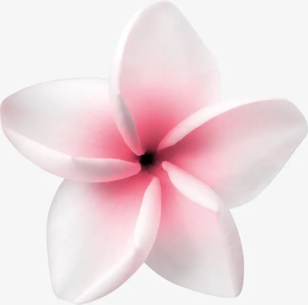 粉白色小花朵免抠