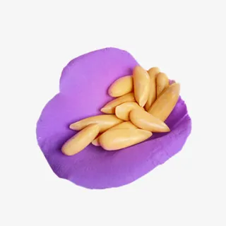 花瓣上的松子仁免抠