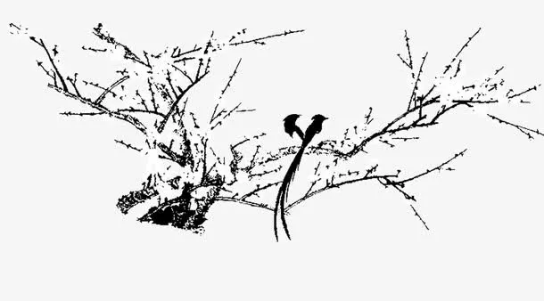 树枝雀鸟绘画免抠