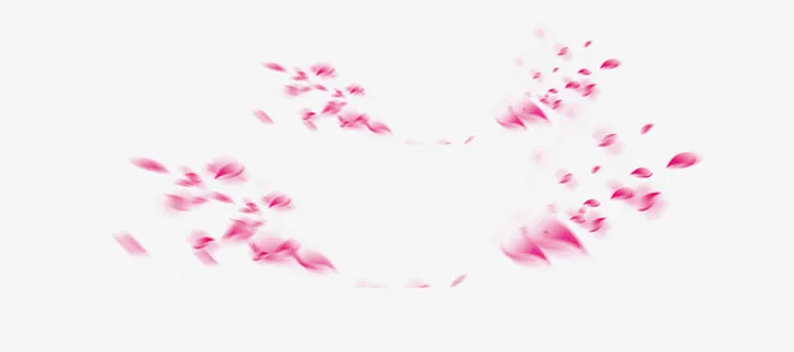 花瓣专辑免抠