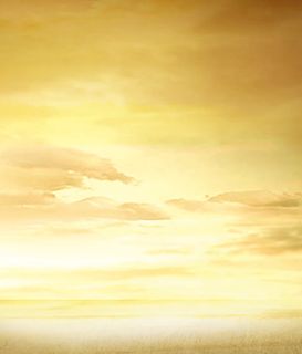 装饰图案免抠 装饰图案免抠