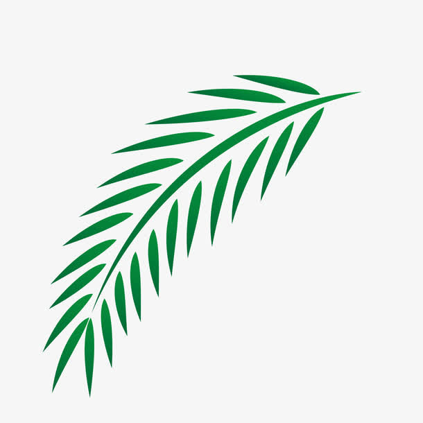 复活节棕榈叶免抠