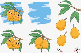 矢量树上的枇杷表情免抠