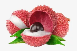 荔枝皮荔枝果肉免抠