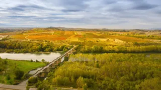 农民大地金色宽屏免抠