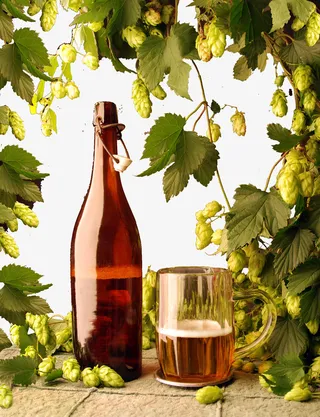 红酒葡萄园背景图