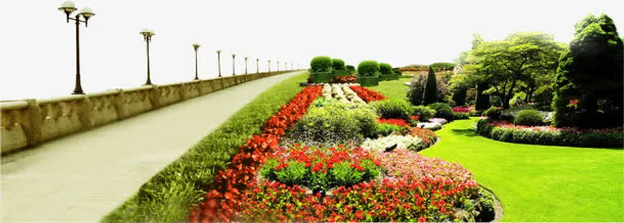 房地产户外花坛景观绿化免抠