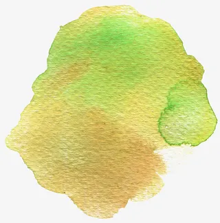 树叶图片素材树叶花边图片免抠