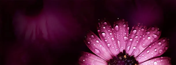 美容banner