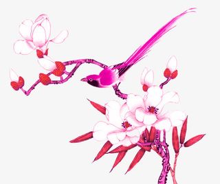 手绘彩色小鸟花朵免抠