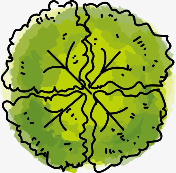 绿色春季水彩树叶免抠