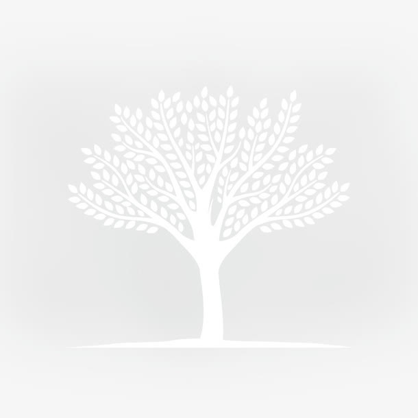 矢量元素树干分枝矢量图免抠
