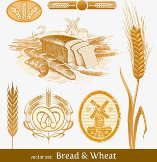 小麦创意主题矢量素材免抠