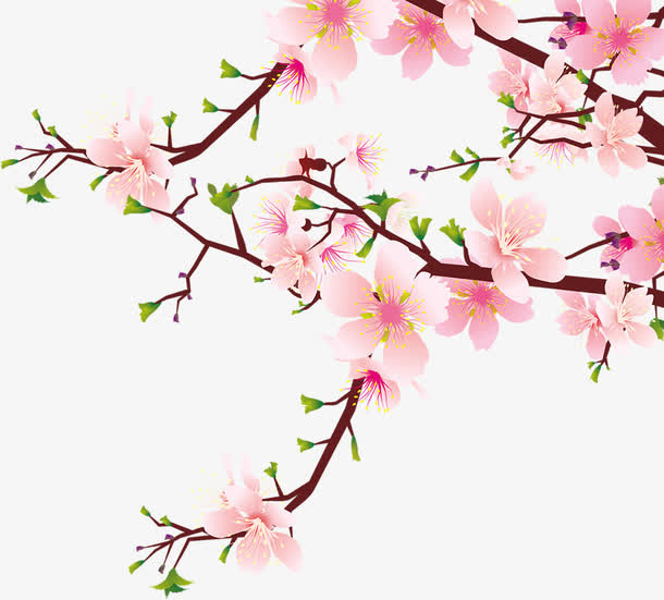 海报效果卡通桃花树枝免抠