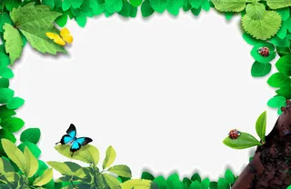 春天  绿色 边框  大树免抠