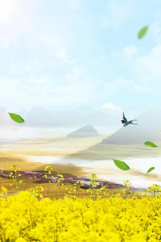 油菜花园春天踏青海报高清文艺清新背景