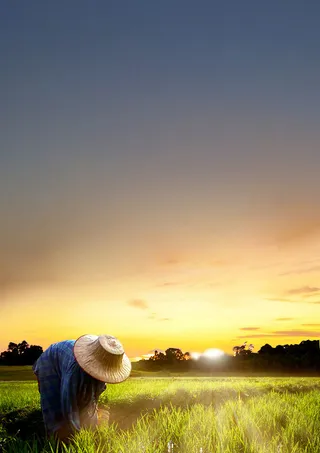 五一劳动节图片集锦高清