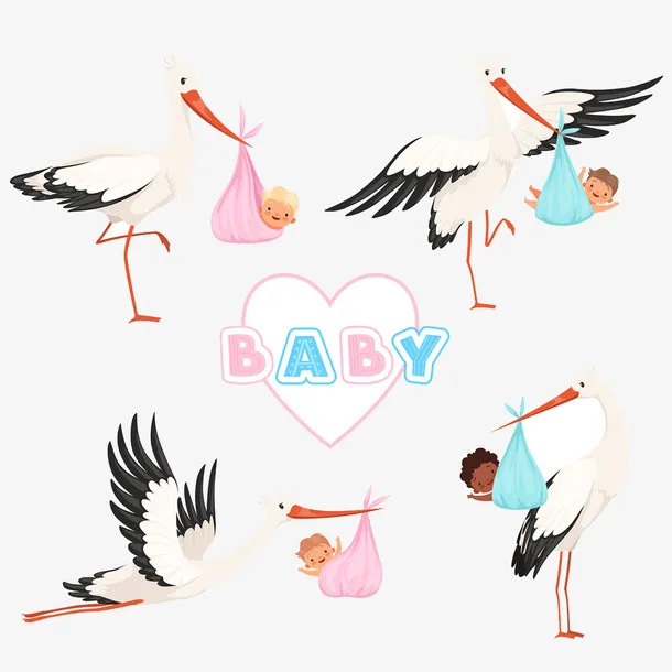 仙鹤插画图片免抠