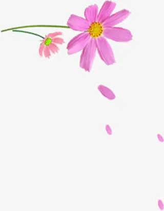 春天漂浮花瓣装饰免抠