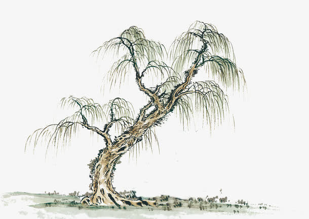 绿色发芽的柳树免抠