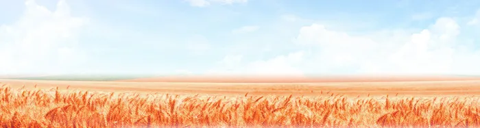 麦田banner创意设计高清