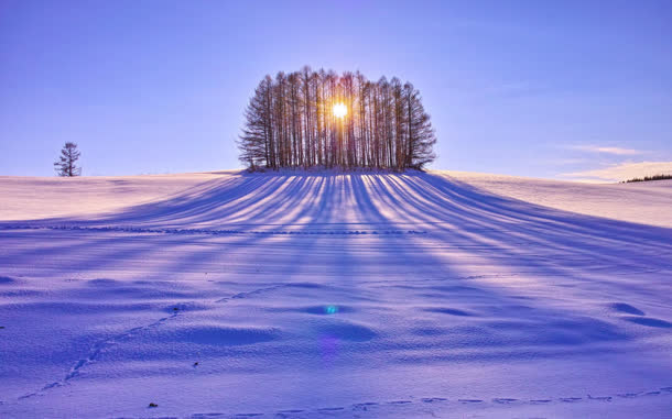 唯美创意树林雪地日出免抠