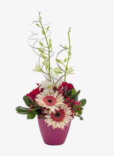 艺术造型 插花花艺免抠