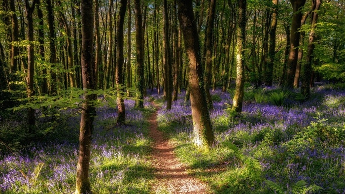 人物背景卡形象高清